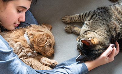 girl hugging cat and dog